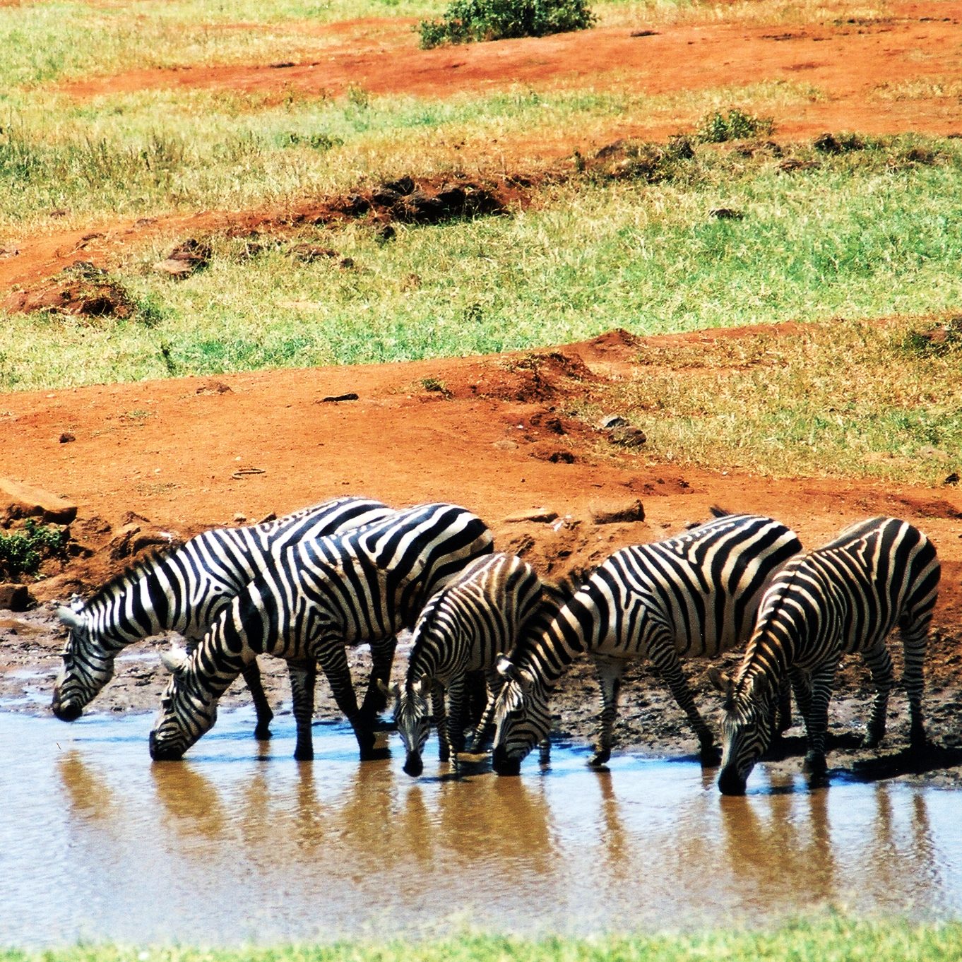 voyage-sur-mesure-kenya-agence-andrezieux-boutheon