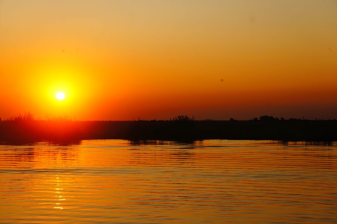 parc-chobe-sur-mesure-agence-de-voyage-andrézieux