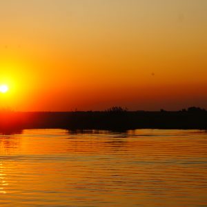 parc-chobe-sur-mesure-agence-de-voyage-andrézieux
