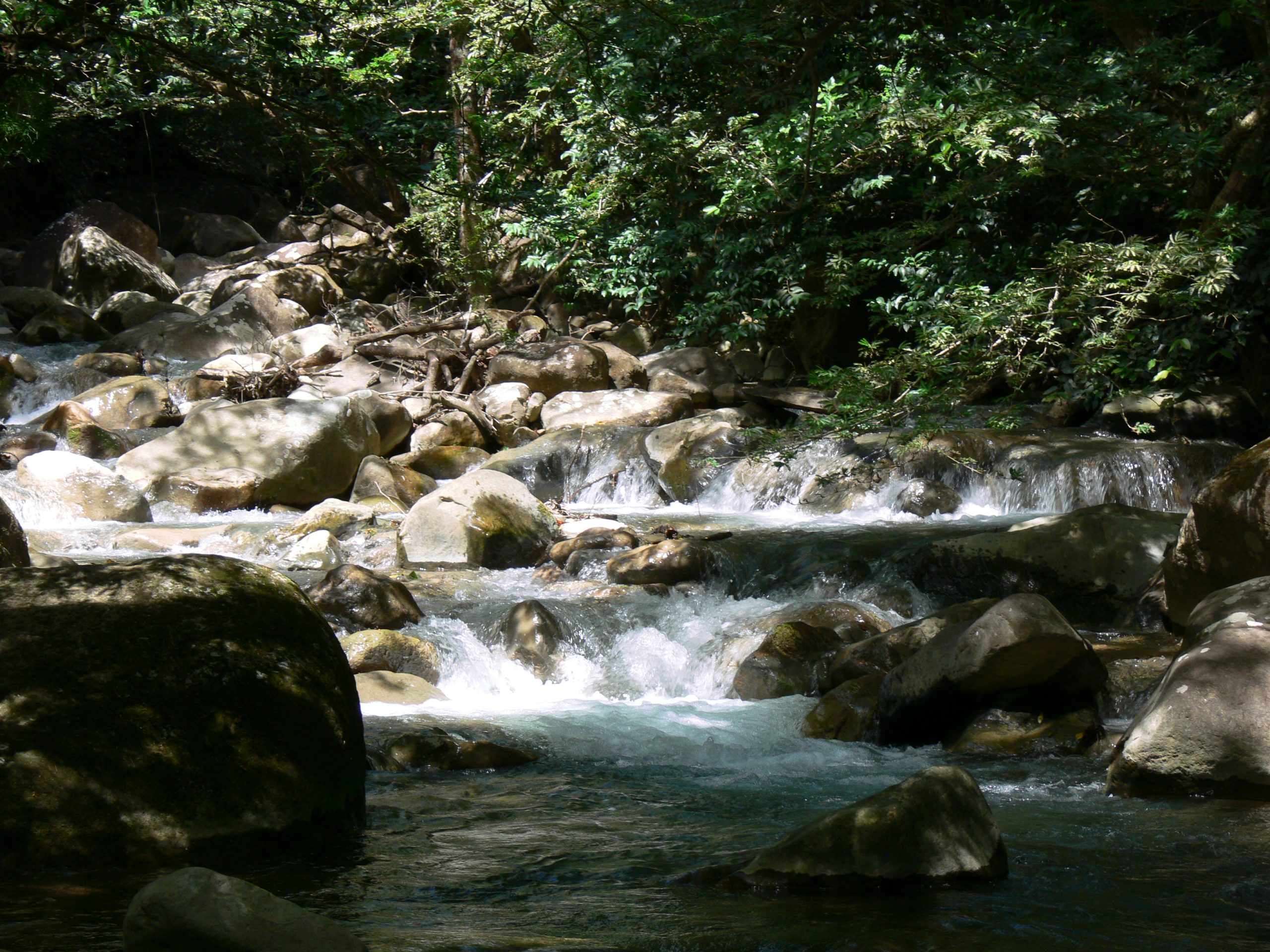 circuit-costa-rica-sur-mesure-agence-de-voyage-andrézieux