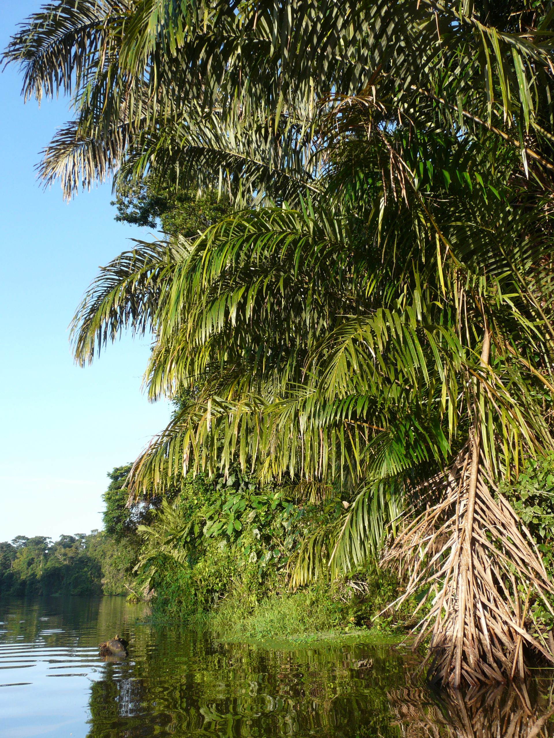 voyage-costa-rica-sur-mesure-agence-de-voyage-andrézieux