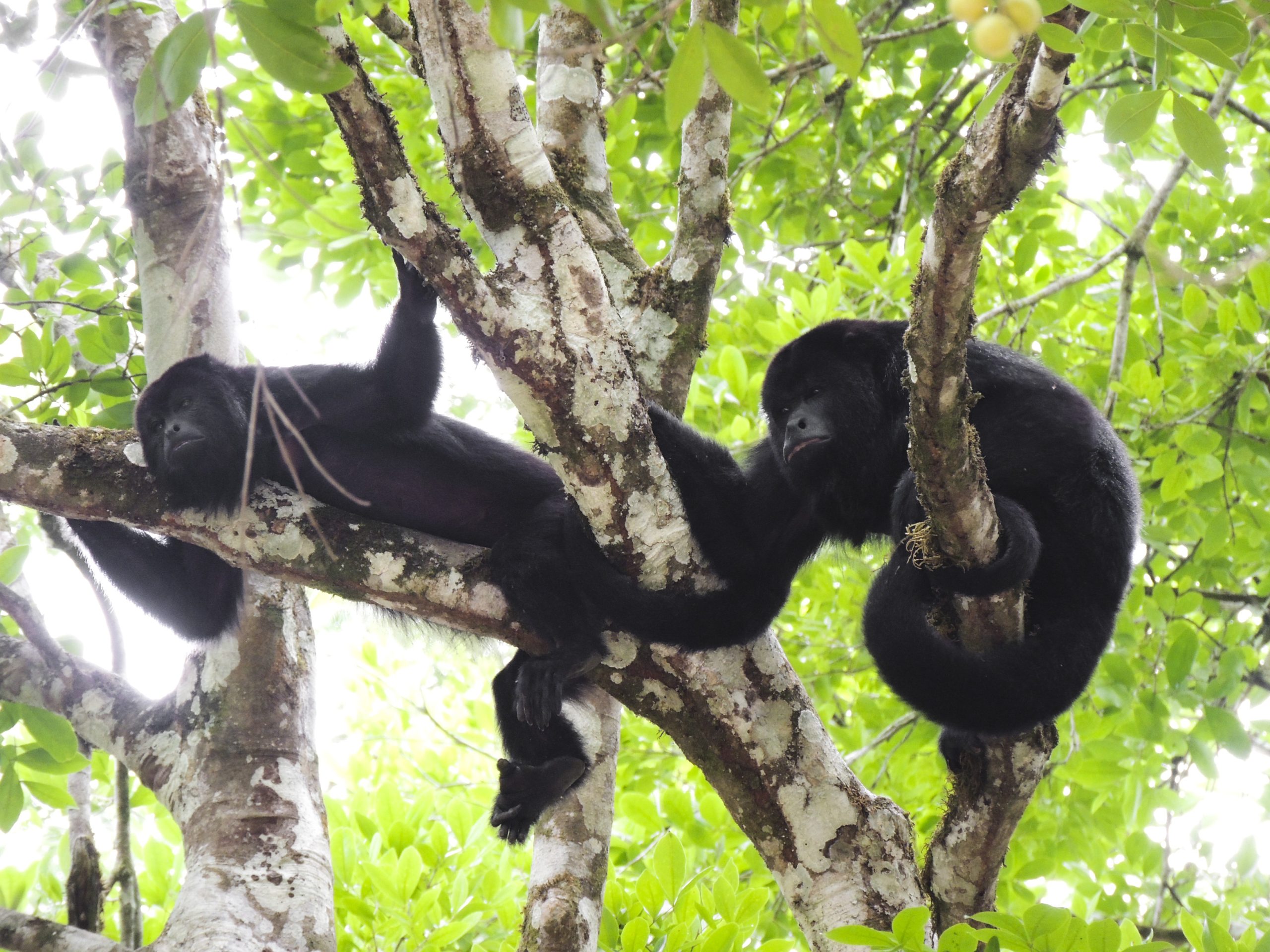 circuit-guatemala-sur-mesure-agence-de-voyage-andrézieux