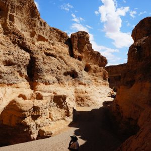 circuit-namibie-sur-mesure-agence-de-voyage-andrézieux