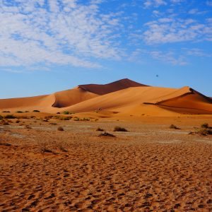 voyage-namibie-sur-mesure-agence-de-voyage-andrézieux