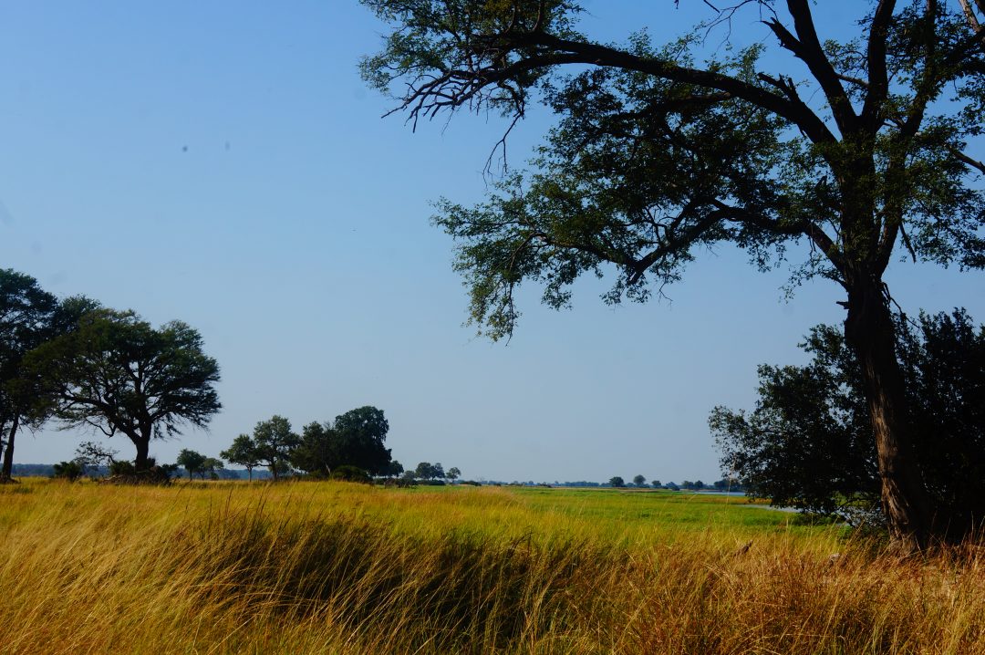 voyage-namibie-sur-mesure-agence-de-voyage-andrézieux
