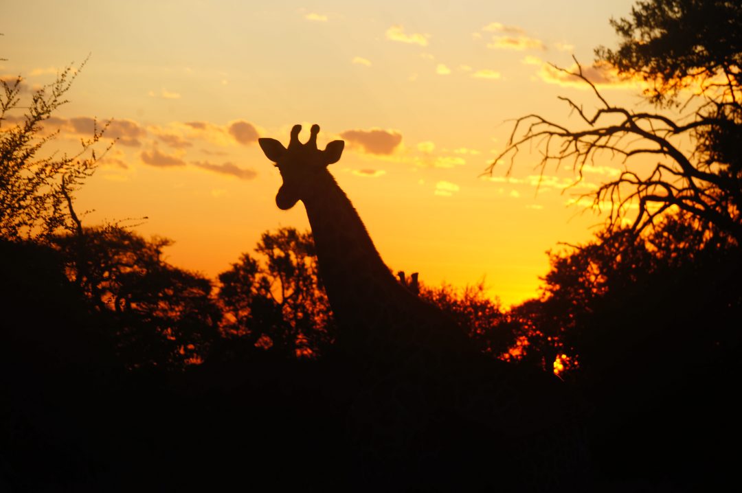 voyage-namibie-sur-mesure-agence-de-voyage-andrézieux