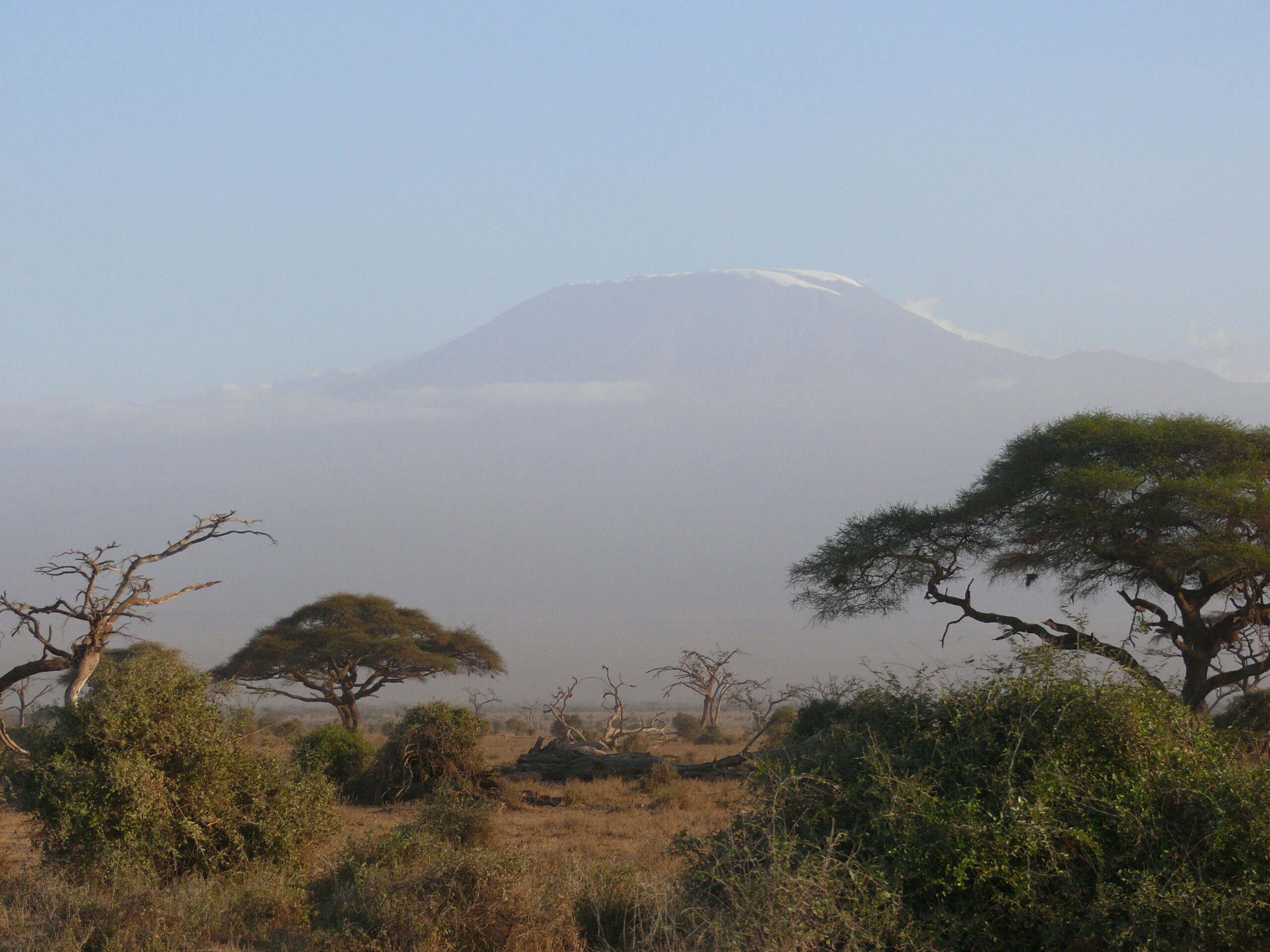 kilimandjaro-tanzanie-safari-experience-unique-agence-de-voyage-andrezieux