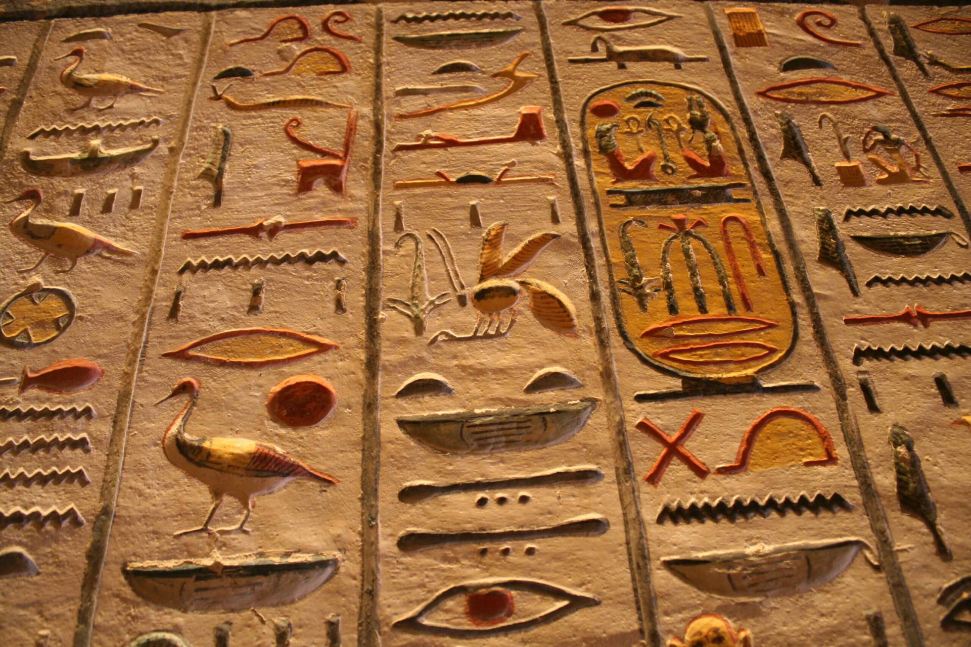 agence-de-voyages-andrezieux-15-ans-expertise